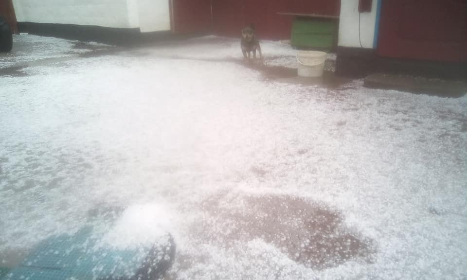 Существенные потери для всех: под Житомиром выпал сильный град (фото)